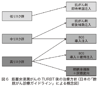 図6　筋層非浸潤がんのTURBT 後の治療方針（日本の「膀胱がん診療ガイドライン」による概念図）[第9回　がん治療（標準治療）の基礎知識　膀胱がん]