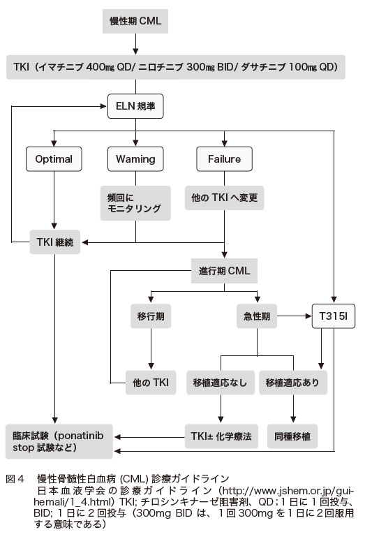図４　慢性骨髄性白血病 (CML) 診療ガイドライン　　　　日本血液学会の診療ガイドライン（http://www.jshem.or.jp/guihemali/1_4.html） TKI; チロシンキナーゼ阻害剤、QD；1 日に1 回投与、BID; 1 日に2 回投与（300mg BID は、１回300mg を１日に２回服用する意味である）
