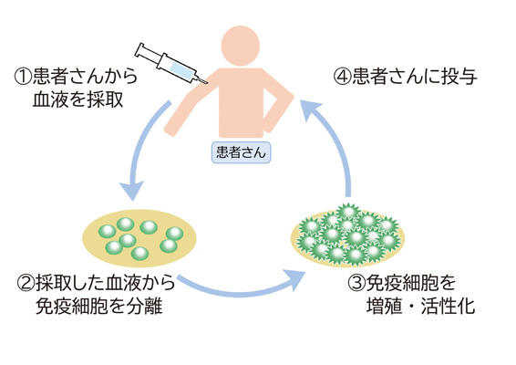 図１　免疫細胞療法