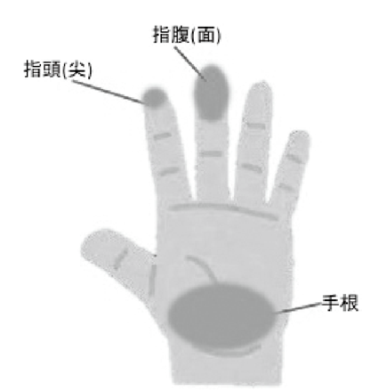 図2　施術時に用いる手部の名称