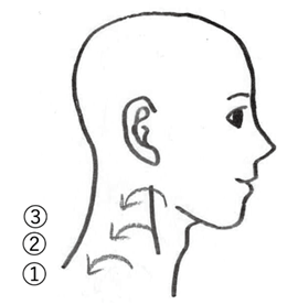 図3　側頸部の排液方向