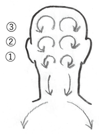 図6　後頭部の排液方向