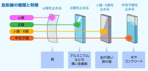 図3　放射線の種類と特徴
